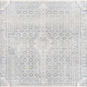 Gray 10' 2 x 10' 2 Newport Square Area Rug 100% Polypropylene Traditional Distressed Classic Contemporary Carpet for Home Decor for Sale at Rug Engine