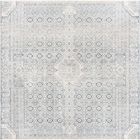 Gray 10' 2 x 10' 2 Newport Square Area Rug 100% Polypropylene Traditional Distressed Classic Contemporary Carpet for Home Decor for Sale at Rug Engine