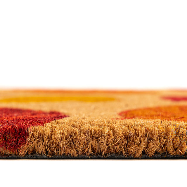 Multicolor 2' x 2' 6 Doormat Rectangle Rug