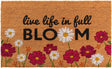 Natural 2' x 2' 6 Doormat Rectangle Rug