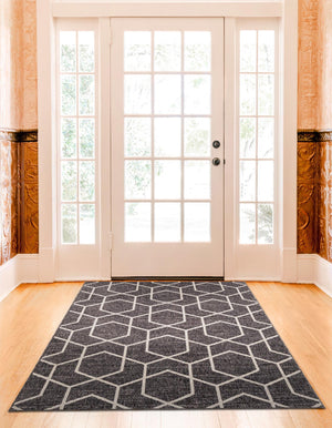 Charcoal Gray 5' 3 x 8' Eco Trellis Rectangle Area Rug 100% Recycled Space Dyed Polyester With Cotton Backing Geometric Pattern Eco-Friendly Carpet for Sale at Rug Engine