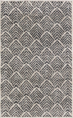 Charcoal Ivory 2' x 3' Eco Trellis Rectangle Area Rug 100% Recycled Space Dyed Polyester With Cotton Backing Geometric Pattern Eco-Friendly Carpet for Sale at Rug Engine