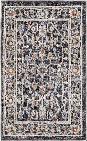 Charcoal Gray 2' x 3' Eco Traditional Rectangle Area Rug 100% Recycled Space Dyed Polyester With Cotton Backing Classic Pattern Carpet for Living, Dining, Office Space for Sale at Rug Engine