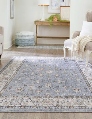 Harbor Blue 5' 3 x 8' Eco Traditional Rectangle Area Rug 100% Recycled Space Dyed Polyester With Cotton Backing Classic Pattern Carpet for Living, Dining, Office Space for Sale at Rug Engine