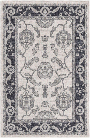 Ivory Gray 4' x 6' Eco Traditional Rectangle Area Rug 100% Recycled Space Dyed Polyester With Cotton Backing Classic Pattern Carpet for Living, Dining, Office Space for Sale at Rug Engine