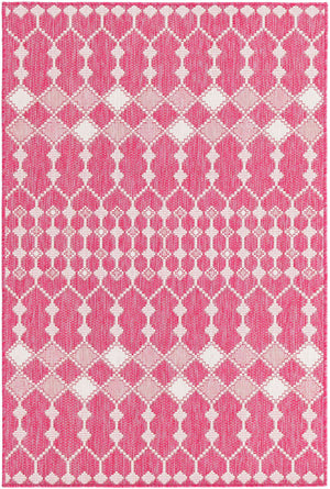 Magenta 4' 1 x 6' 1 Outdoor Trellis Rectangle Rug