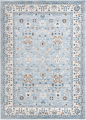 Aqua Blue 10' x 14' 1 Charlotte Rectangle Area Rug 100% Polypropylene With Jute Backing Traditional Classical Durable Carpet for Living Dining Office Rooms for Sale at Rug Engine