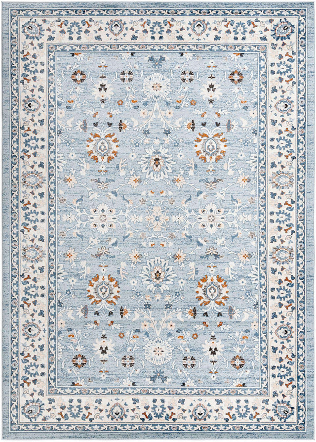 Aqua Blue 10' x 14' 1 Charlotte Rectangle Area Rug 100% Polypropylene With Jute Backing Traditional Classical Durable Carpet for Living Dining Office Rooms for Sale at Rug Engine