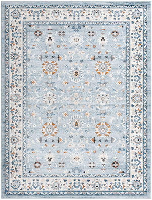 Aqua Blue 9' x 12' Charlotte Rectangle Area Rug 100% Polypropylene With Jute Backing Traditional Classical Durable Carpet for Living Dining Office Rooms for Sale at Rug Engine
