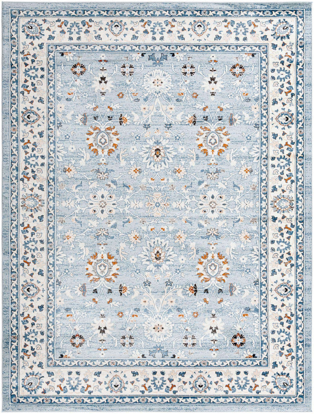 Aqua Blue 9' x 12' Charlotte Rectangle Area Rug 100% Polypropylene With Jute Backing Traditional Classical Durable Carpet for Living Dining Office Rooms for Sale at Rug Engine