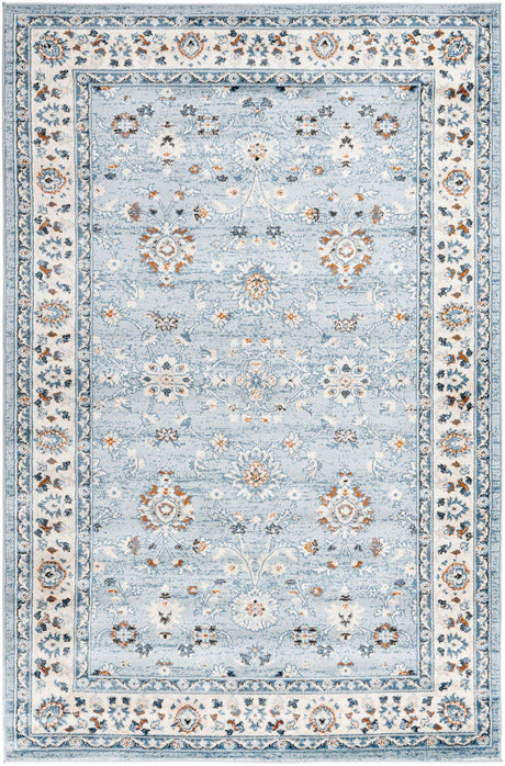 Aqua Blue 5' 3 x 8' Charlotte Rectangle Area Rug 100% Polypropylene With Jute Backing Traditional Classical Durable Carpet for Living Dining Office Rooms for Sale at Rug Engine