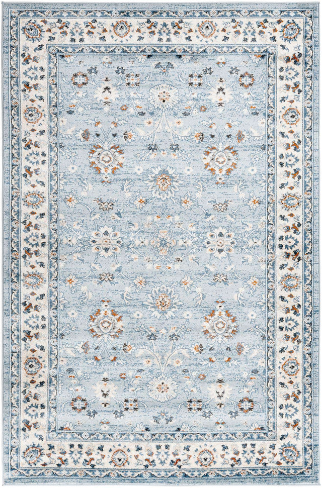 Aqua Blue 5' 3 x 8' Charlotte Rectangle Area Rug 100% Polypropylene With Jute Backing Traditional Classical Durable Carpet for Living Dining Office Rooms for Sale at Rug Engine