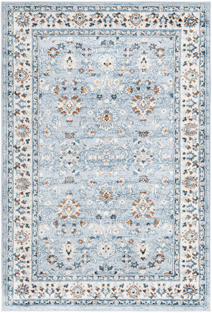 Aqua Blue 4' 1 x 6' 1 Charlotte Rectangle Area Rug 100% Polypropylene With Jute Backing Traditional Classical Durable Carpet for Living Dining Office Rooms for Sale at Rug Engine