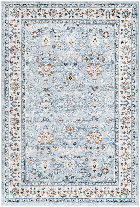 Aqua Blue 4' 1 x 6' 1 Charlotte Rectangle Area Rug 100% Polypropylene With Jute Backing Traditional Classical Durable Carpet for Living Dining Office Rooms for Sale at Rug Engine