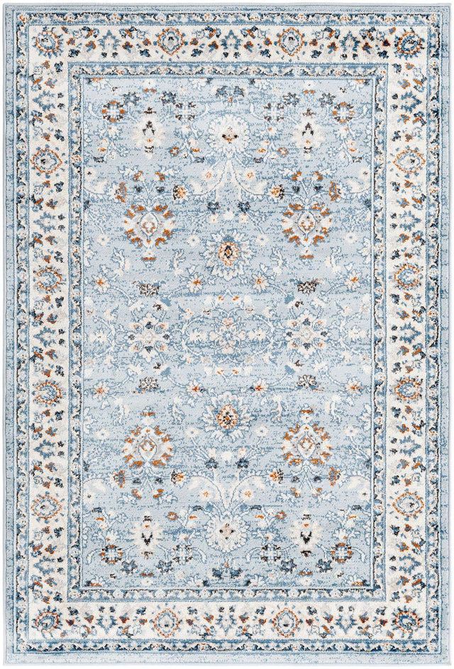 Aqua Blue 4' 1 x 6' 1 Charlotte Rectangle Area Rug 100% Polypropylene With Jute Backing Traditional Classical Durable Carpet for Living Dining Office Rooms for Sale at Rug Engine