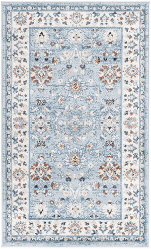 Aqua Blue 3' 1 x 5' 3 Charlotte Rectangle Area Rug 100% Polypropylene With Jute Backing Traditional Classical Durable Carpet for Living Dining Office Rooms for Sale at Rug Engine