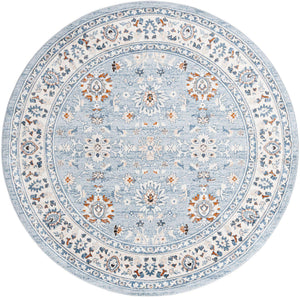 Aqua Blue 7' 10 x 7' 10 Charlotte Round Area Rug 100% Polypropylene With Jute Backing Traditional Classical Durable Carpet for Living Dining Office Rooms for Sale at Rug Engine