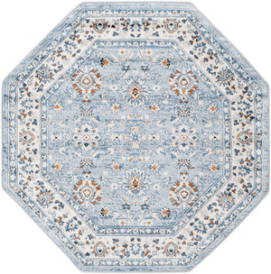 Aqua Blue 5' 3 x 5' 3 Charlotte Octagon Area Rug 100% Polypropylene With Jute Backing Traditional Classical Durable Carpet for Living Dining Office Rooms for Sale at Rug Engine