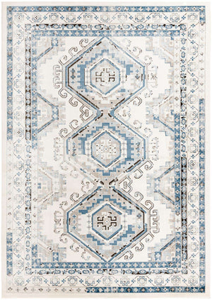 Ivory Aqua 10' x 14' 1 Charlotte Rectangle Area Rug 100% Polypropylene With Jute Backing Traditional Classical Durable Carpet for Living Dining Office Rooms for Sale at Rug Engine