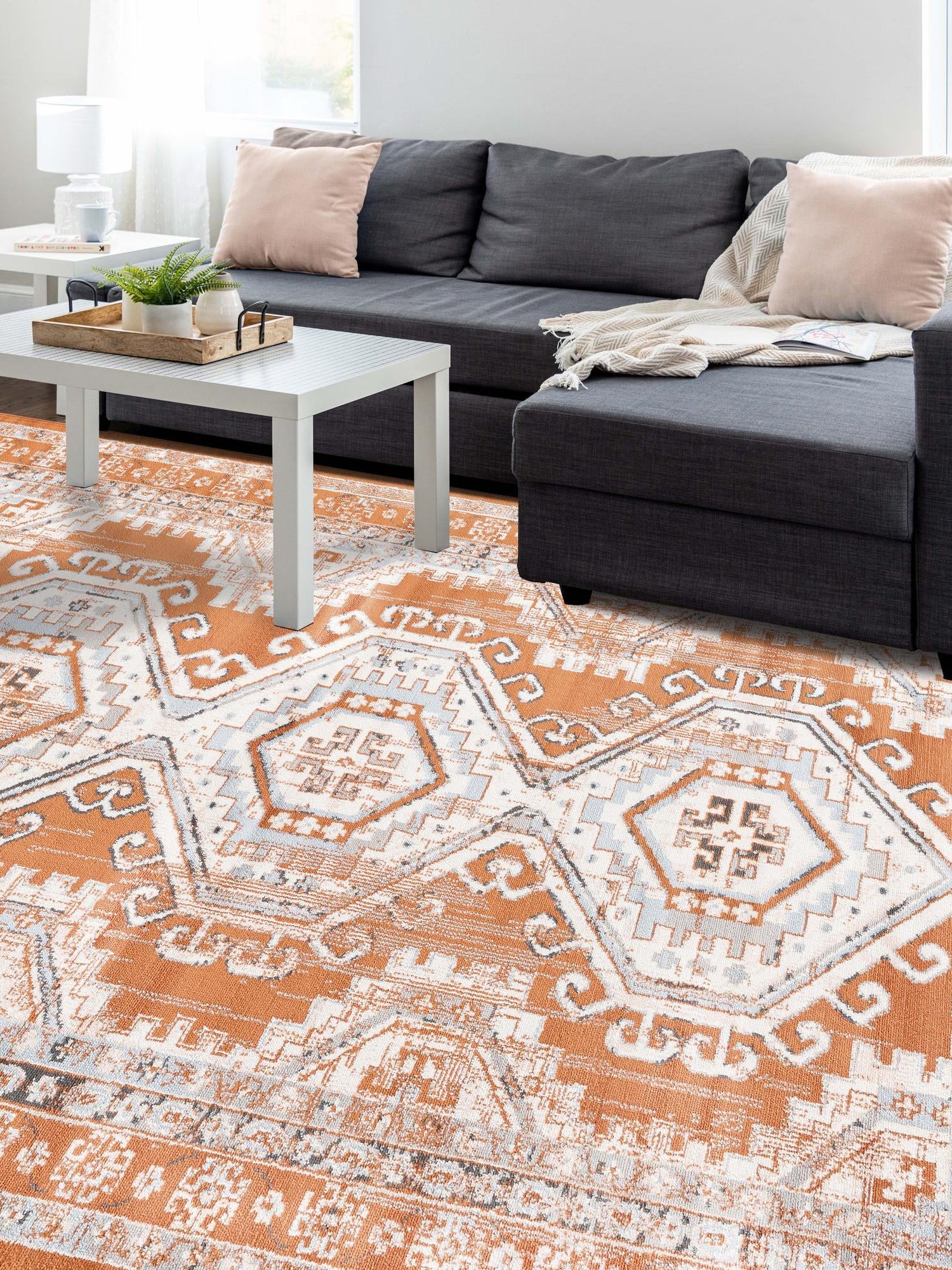 Terracotta 2' x 3' 1 Charlotte Rectangle Area Rug 100% Polypropylene With Jute Backing Traditional Classical Durable Carpet for Living Dining Office Rooms for Sale at Rug Engine