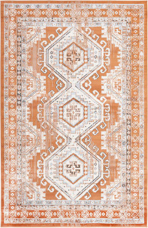 Terracotta 5' 3 x 8' Charlotte Rectangle Area Rug 100% Polypropylene With Jute Backing Traditional Classical Durable Carpet for Living Dining Office Rooms for Sale at Rug Engine