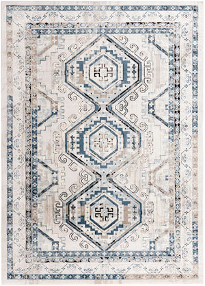 Gray Blue 10' x 14' 1 Charlotte Rectangle Area Rug 100% Polypropylene With Jute Backing Traditional Classical Durable Carpet for Living Dining Office Rooms for Sale at Rug Engine