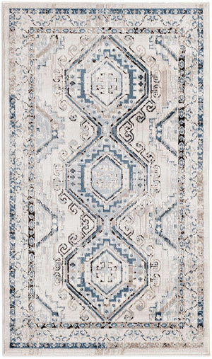 Gray Blue 3' 1 x 5' 3 Charlotte Rectangle Area Rug 100% Polypropylene With Jute Backing Traditional Classical Durable Carpet for Living Dining Office Rooms for Sale at Rug Engine