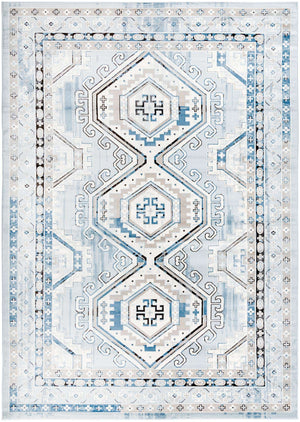Aqua Blue 10' x 14' 1 Charlotte Rectangle Area Rug 100% Polypropylene With Jute Backing Traditional Classical Durable Carpet for Living Dining Office Rooms for Sale at Rug Engine