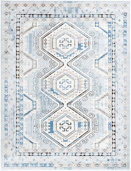 Aqua Blue 9' x 12' Charlotte Rectangle Area Rug 100% Polypropylene With Jute Backing Traditional Classical Durable Carpet for Living Dining Office Rooms for Sale at Rug Engine