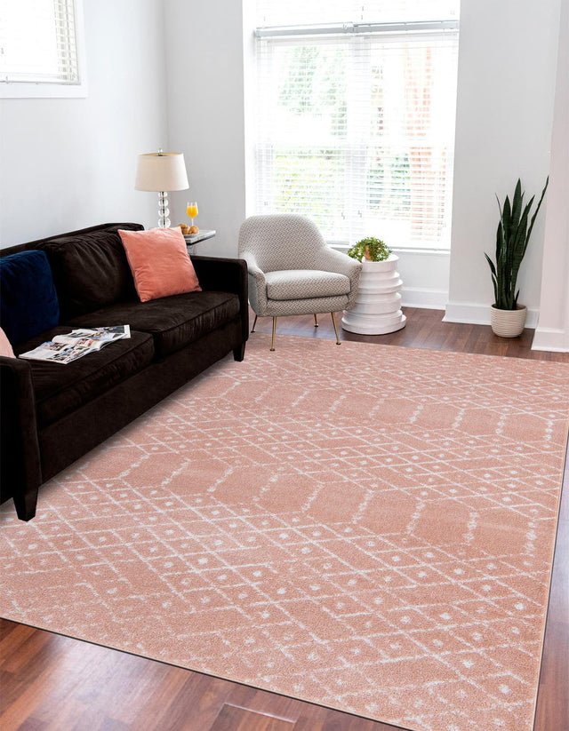 Rose Pink 10' x 13' Paxon Trellis Rectangle Area Rug Geometric Durable Stain Resistant Easy Clean Carpet for Modern Interior Home Decor for Sale at Rug Engine