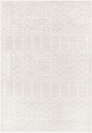 Light Gray 7' x 10' Paxon Trellis Rectangle Area Rug Geometric Durable Stain Resistant Easy Clean Carpet for Modern Interior Home Decor for Sale at Rug Engine