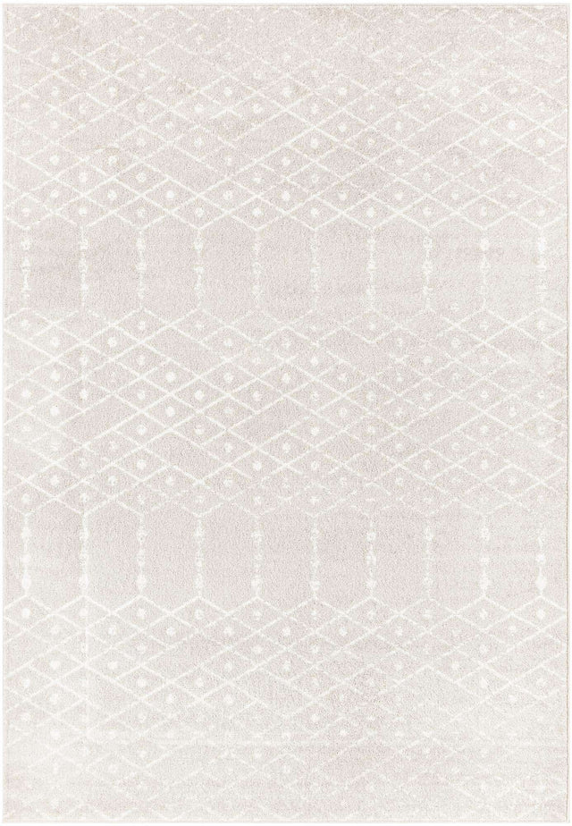 Light Gray 7' x 10' Paxon Trellis Rectangle Area Rug Geometric Durable Stain Resistant Easy Clean Carpet for Modern Interior Home Decor for Sale at Rug Engine