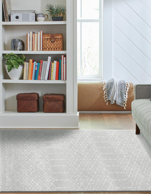 Light Gray 2' x 3' Paxon Trellis Rectangle Area Rug Geometric Durable Stain Resistant Easy Clean Carpet for Modern Interior Home Decor for Sale at Rug Engine