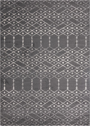 Charcoal Gray 10' x 14' Paxon Trellis Rectangle Area Rug Geometric Durable Stain Resistant Easy Clean Carpet for Modern Interior Home Decor for Sale at Rug Engine
