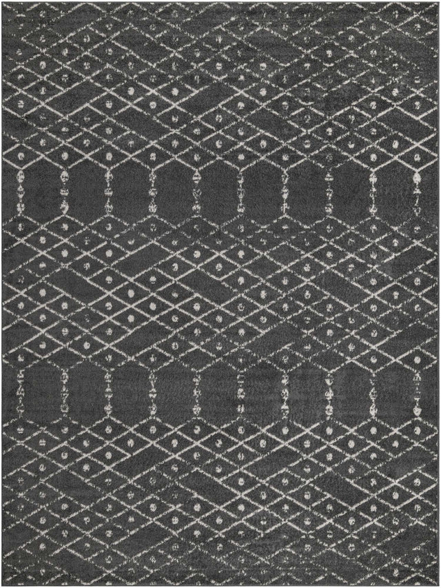 Charcoal Gray 9' x 12' Paxon Trellis Rectangle Area Rug Geometric Durable Stain Resistant Easy Clean Carpet for Modern Interior Home Decor for Sale at Rug Engine