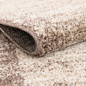 Light Brown 4' 1 x 6' 1 Del Mar Rectangle Area Rug 100% Polypropylene Easy Clean Stain Resistant Vivid Modern Carpet Mat for Home Decor Interior Designing for Sale at Rug Engine