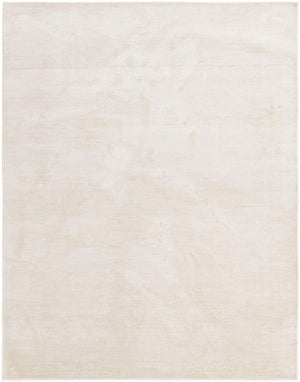 Ivory 9' x 12' Finsbury Rectangle Area Rug 60% Polypropylene & 40% Polyester Contemporary Carpet for Living Rooms, Dining, Offices for Sale at Rug Engine