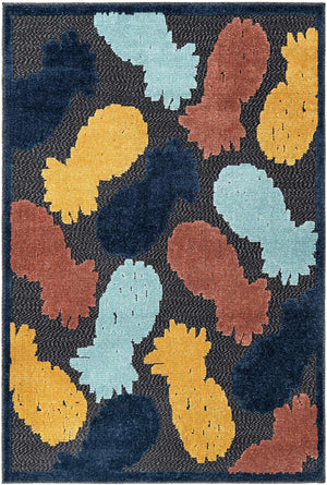 Black 4' x 6' Belize Outdoor Rectangle Area Rug Weather Resistant for Patio, Deck, Terrace, Balcony, Porch 100% Polypropylene Colorful Fun Coastal Modern Carpet for Outside for Sale at Rug Engine