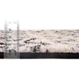 Black and White 4' 1 x 6' 1 Tribal Trellis Rectangle Area Rug Geometric Southwestern Inspired Durable Carpet for Home Interior Design for Sale at Rug Engine
