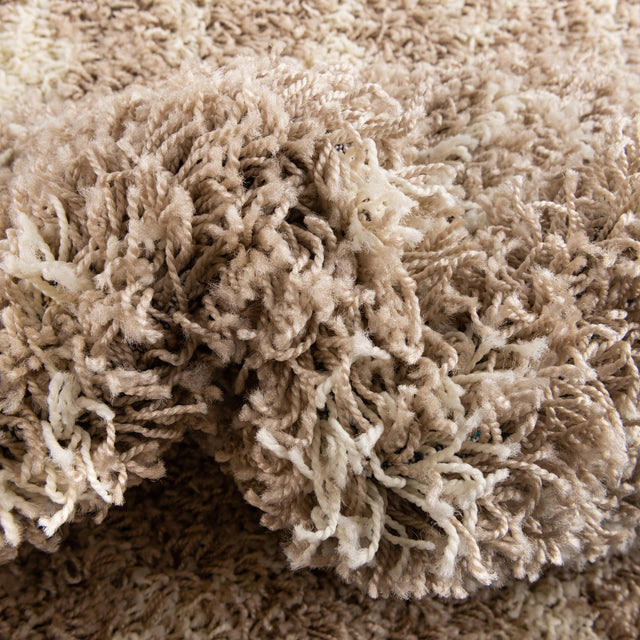 Light Brown 4' x 6' Moroccan Trellis Shag Rectangle Rug
