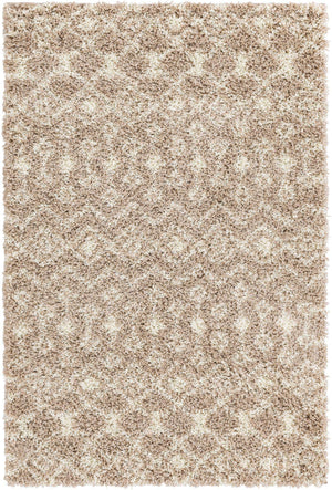 Light Brown 4' x 6' Moroccan Trellis Shag Rectangle Rug
