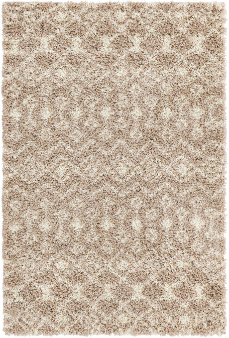 Light Brown 4' x 6' Moroccan Trellis Shag Rectangle Rug