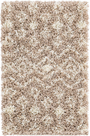 Light Brown 2' 2 x 3' 1 Moroccan Trellis Shag Rectangle Rug