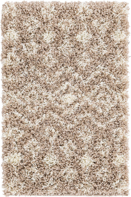 Light Brown 2' 2 x 3' 1 Moroccan Trellis Shag Rectangle Rug
