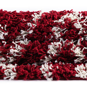 Burgundy Red 2' x 3' Trellis Shag Rectangle Area Rug Thick Soft Touch Fluffy & Plush Shaggy Pile