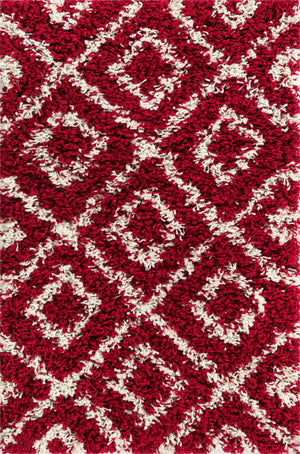 Burgundy Red 2' x 3' Trellis Shag Rectangle Area Rug Thick Soft Touch Fluffy & Plush Shaggy Pile