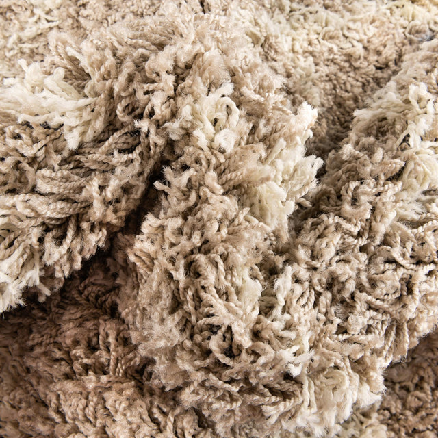 Light Brown 4' x 6' Trellis Shag Rectangle Area Rug Thick Soft Touch Fluffy & Plush Shaggy Pile