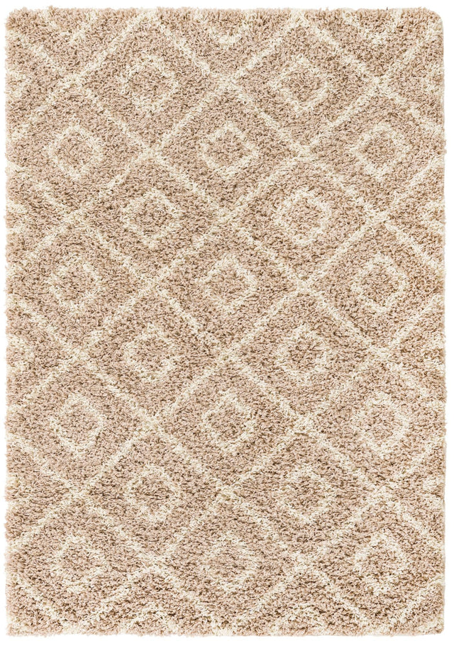 Light Brown 4' x 6' Trellis Shag Rectangle Area Rug Thick Soft Touch Fluffy & Plush Shaggy Pile