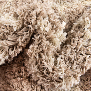 Light Brown 5' 3 x 5' 3 Trellis Shag Round Area Rug Thick Soft Touch Fluffy & Plush Shaggy Pile