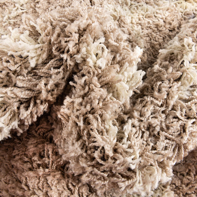 Light Brown 5' 3 x 5' 3 Trellis Shag Round Area Rug Thick Soft Touch Fluffy & Plush Shaggy Pile